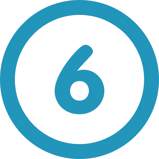 6