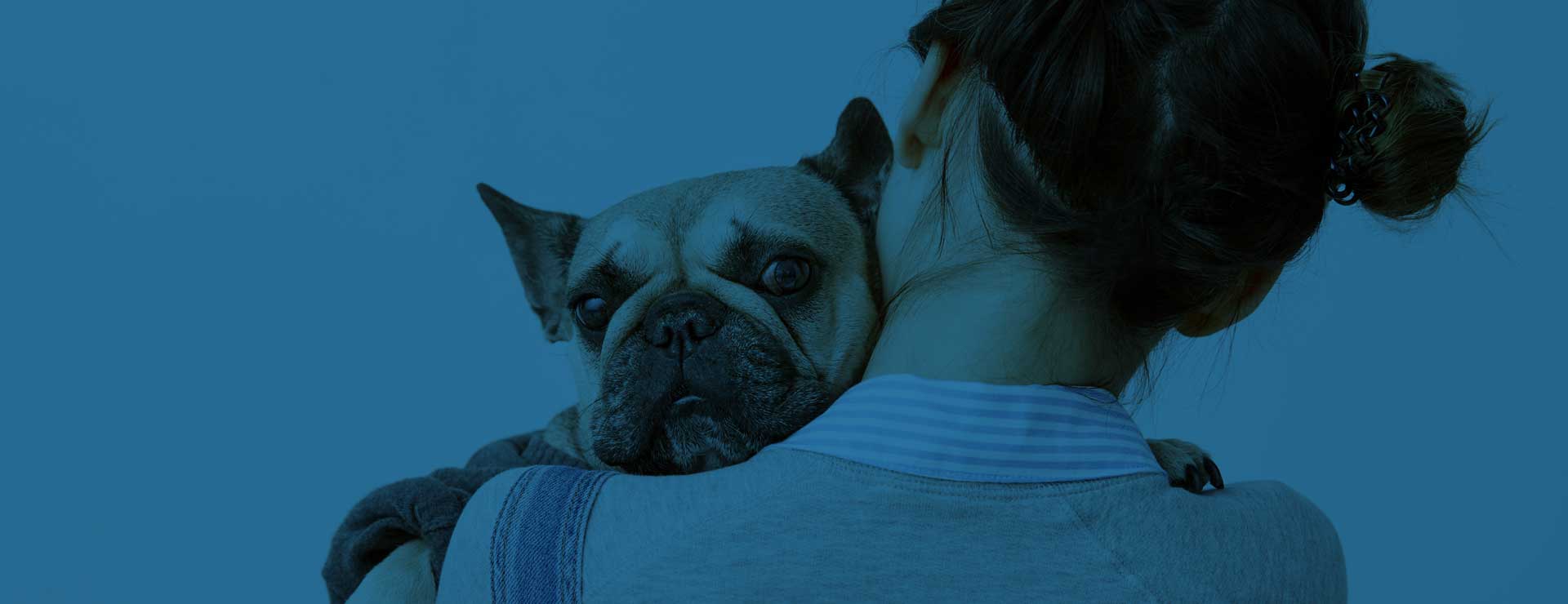 Learn about Pennsylvania Dog Bite Laws